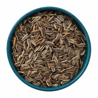 تخمه نمکی